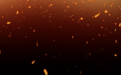 Hoe het allemaal begon …