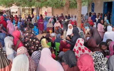 Wilde Ganzen en J.C. Ruigrok Stichting steunen project van Ignite a Better Future in Niger